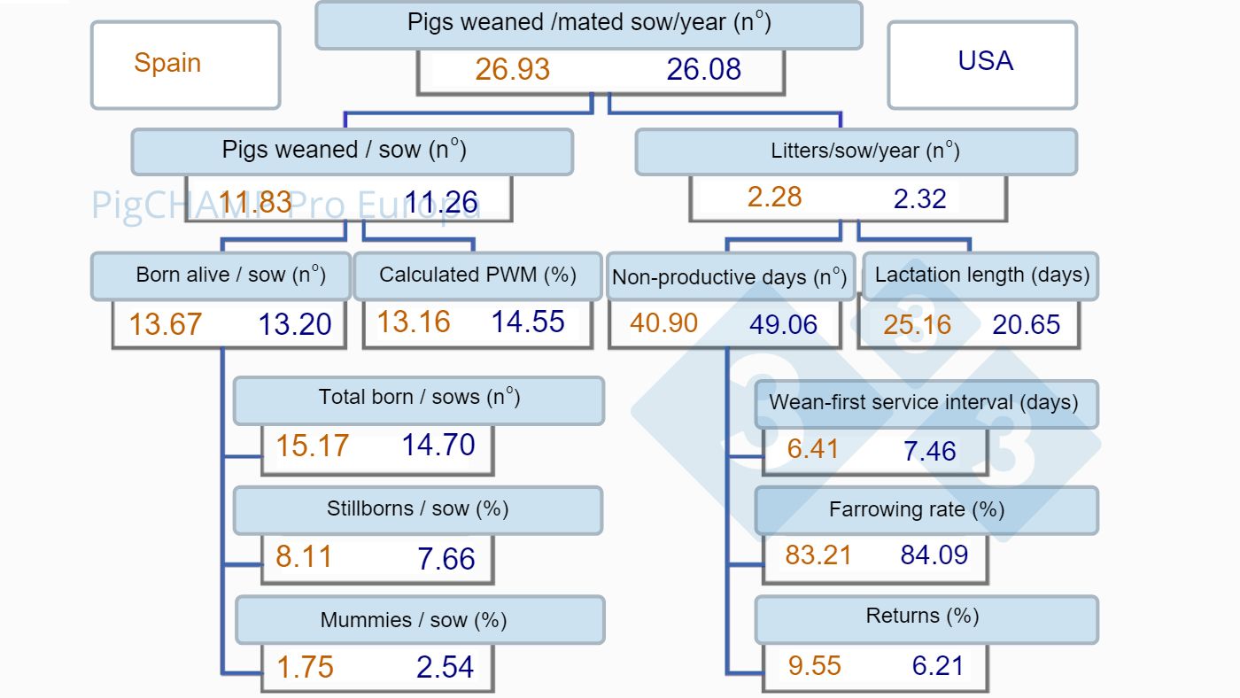 Figure 1.&nbsp;Productivity tree, Spain vs USA, 2019.
