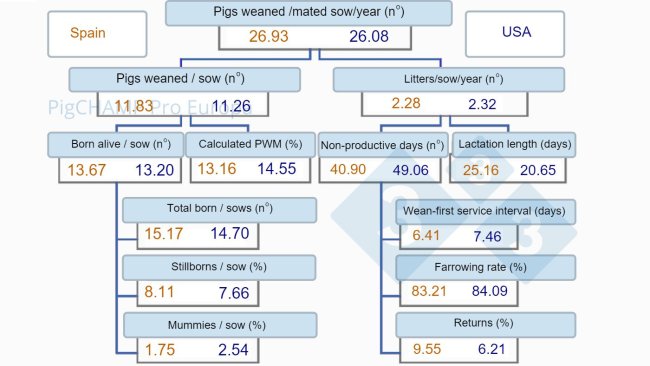 Figure 1. Productivity tree, Spain vs USA, 2019.