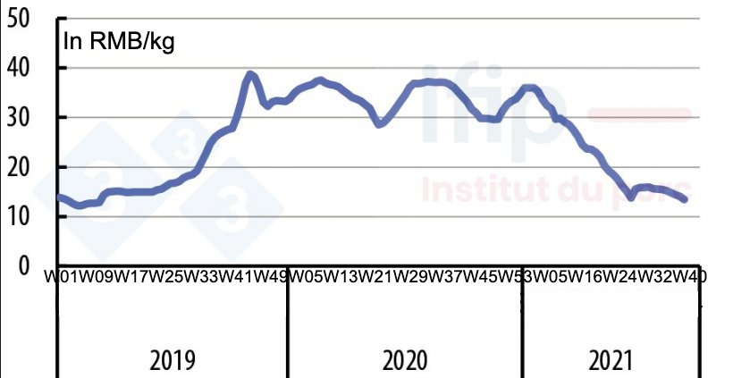 Weekly evolution of live prices in China. Source: Ministry of Agriculture of China.
