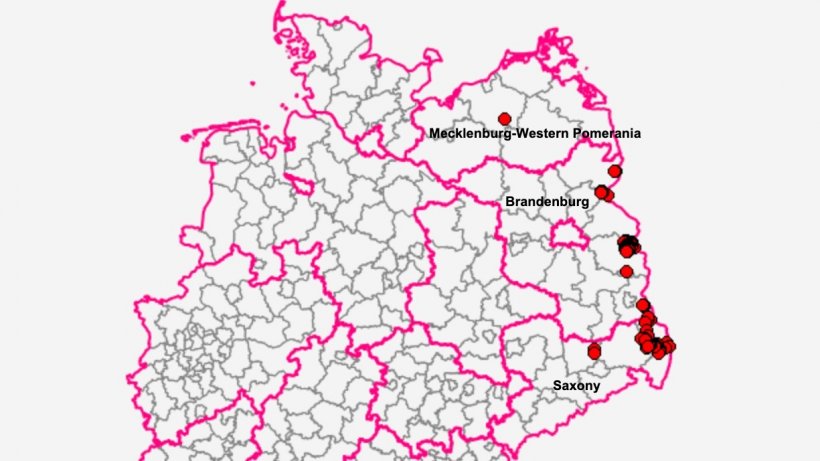 States in Germany with cases of African swine fever. Source: FLI.
