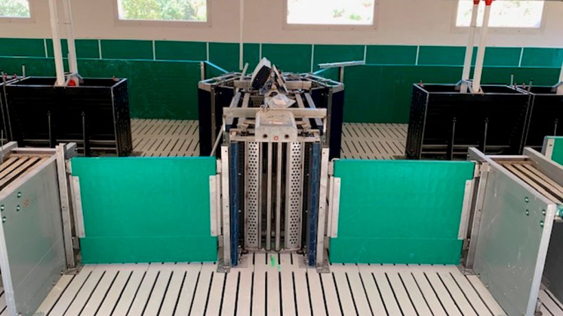 Figure 2. The system separates the top 50% of weights and the bottom 50% of weights and each group is directed to an inner pen located to the right and left of the scale.
