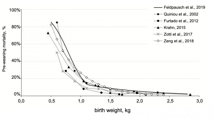 Figure 1. Effects of piglet birth weight on pre-weaning mortality across various studies. Feldpausch et al. (2019) values are based on the predicted pre-weaning mortality values of the current work. Values for&nbsp;Zeng et al. (2018)&nbsp;were derived from a prediction equation published by those authors. Source: Feldpausch et al., 2019.
