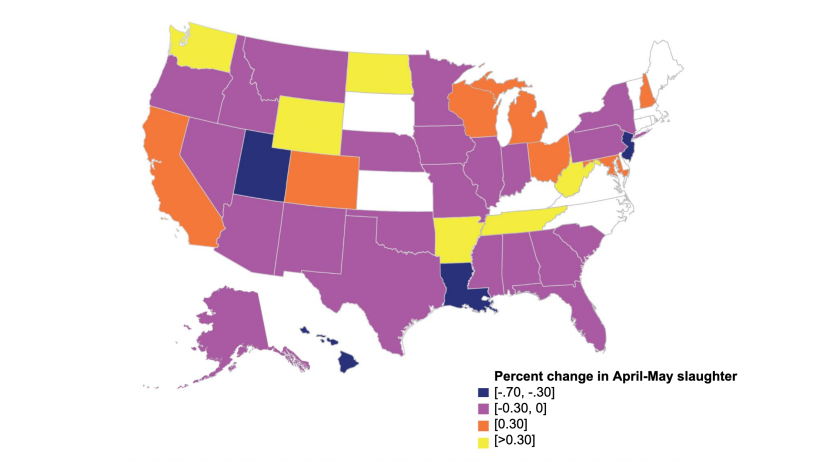 Percentage change in U.S. commercial hog slaughter between April–May 2020, baseline 2019. Notes: Slaughter levels for some States withheld to avoid disclosing data for individual operations or not applicable. These States appear white in the map. Source: USDA.