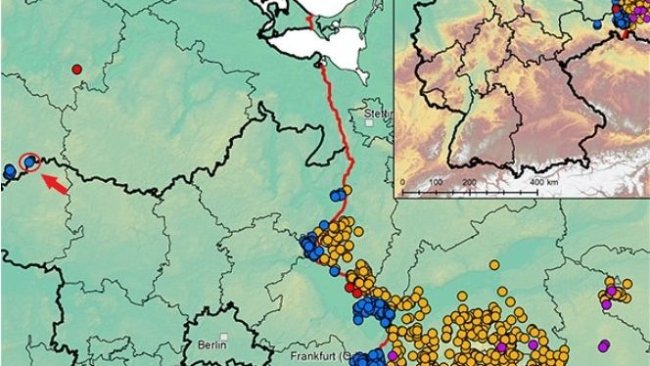 African swine fever in Germany and western Poland since September 2020 (as of December 3, 2021). Source: FLI.