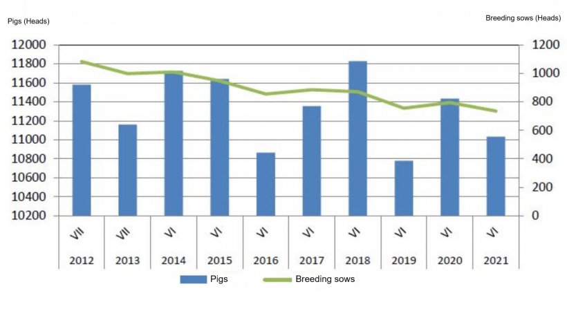 Evolution of the Polish pig census. Source: GUS.
