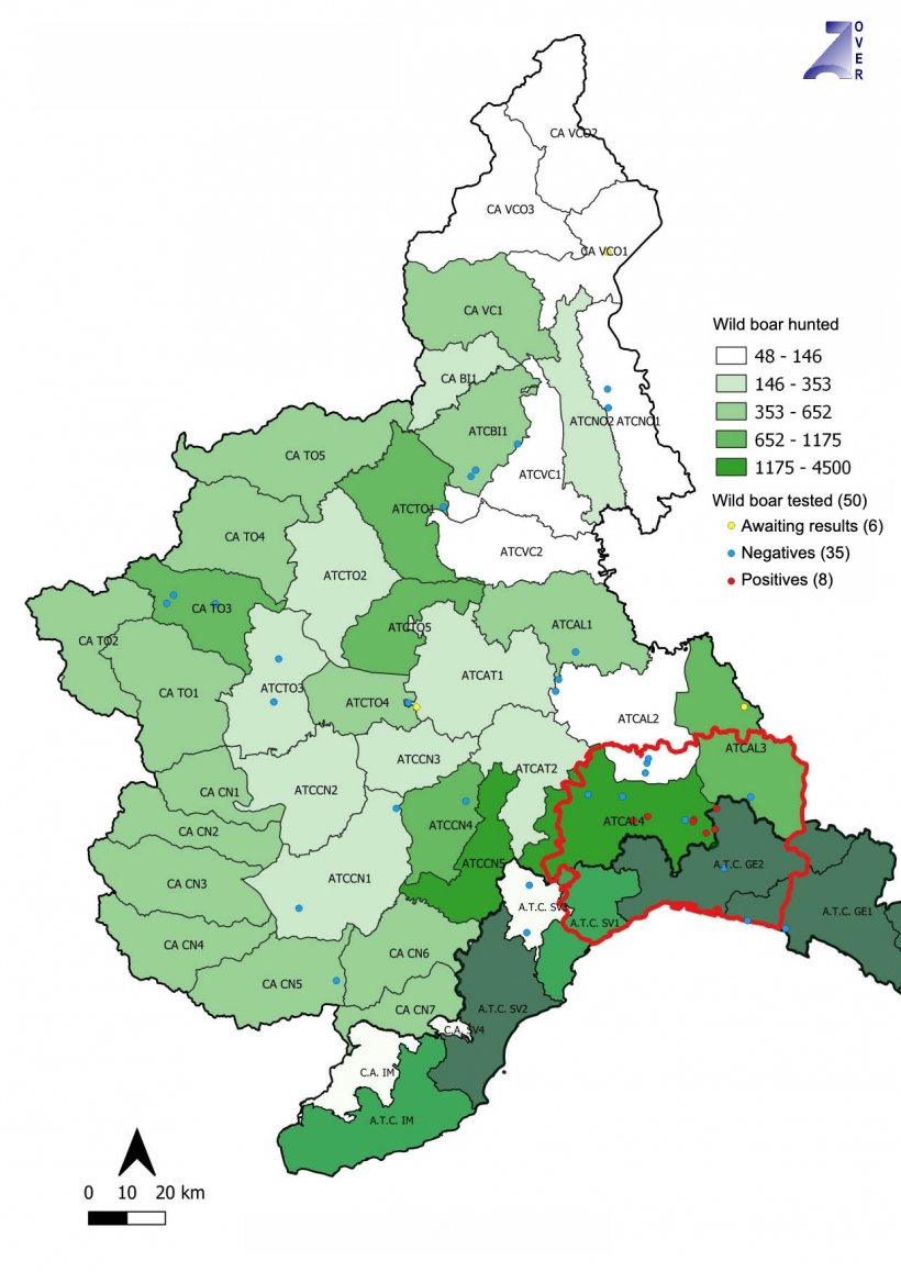 Animals tested negative and positive for ASF in Piemonte and Liguria (Italy). Source: IZSPLV
