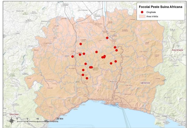 ASF cases in Italy
