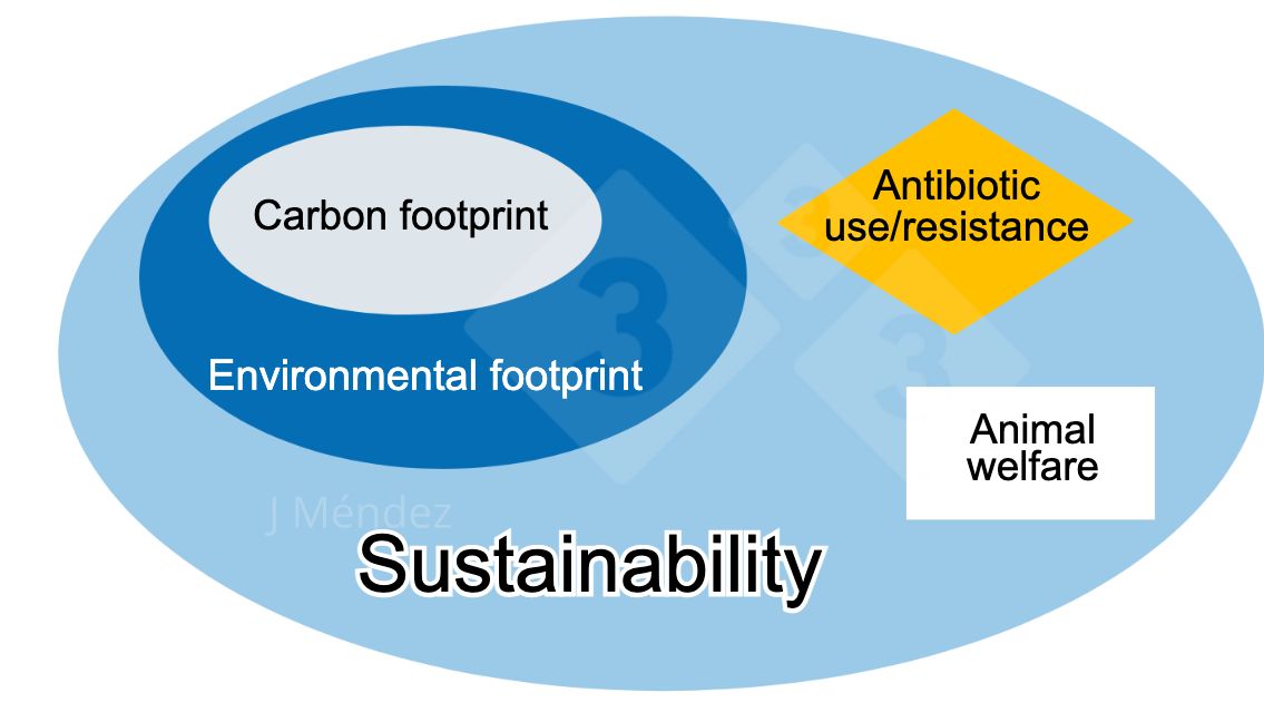 Figure&nbsp;1. Key sustainability concepts.
