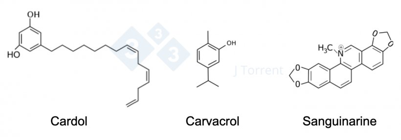 Figure 2. Comparison of the chemical structure of three different phytogenic compounds. Different structures lead to different activities.
