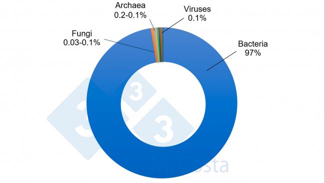 Figure 1. Estimated relative proportion of different microorganisms in the swine gut microbiome. While bacteria correspond to the vast majority of the microbes in the swine gut, other microorganisms play an important role in the complex network that is the gut-microbiota crosstalk.
