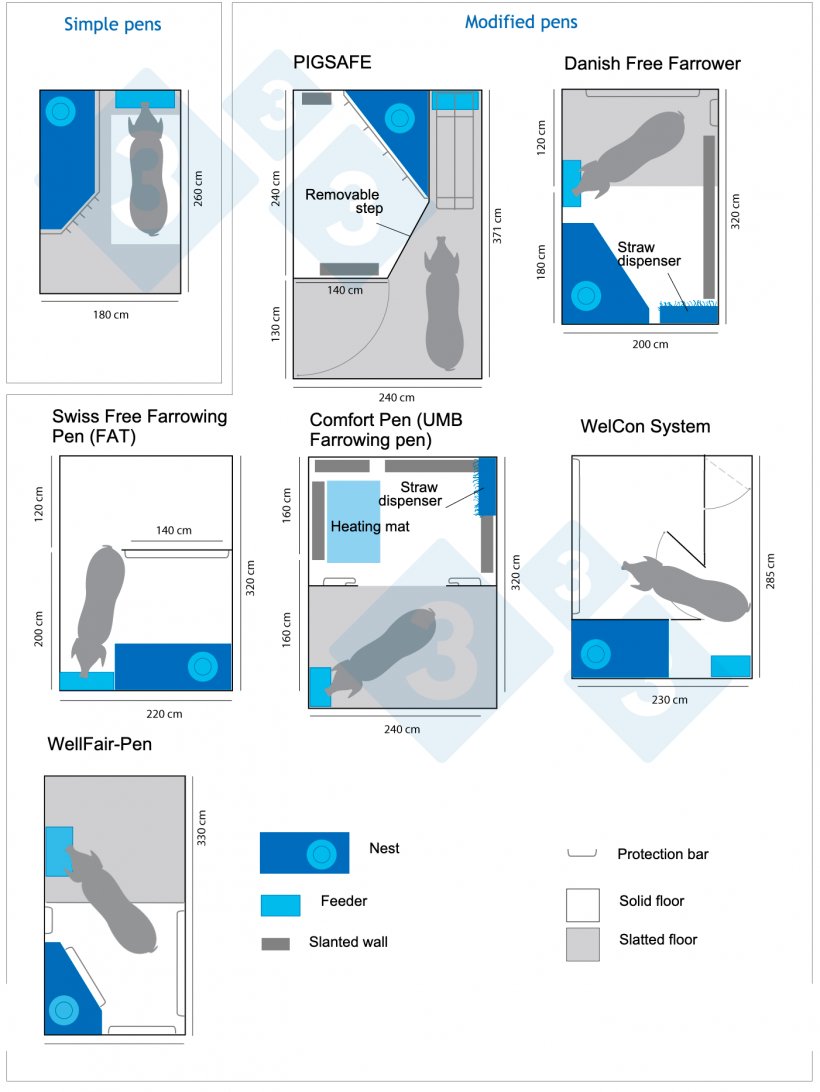 Figure 2. Different models of farrowing pens with no confinement. Infographic created by 333 based on information from www.freefarrowing.org.
