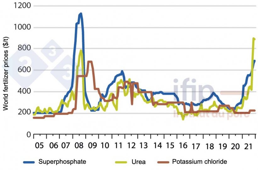 World fertilizer prices ($/t) (Source: Ifip based on World Bank data)
