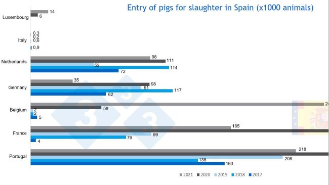 Figure 3. Entry of live pigs for slaughter Source: MAPA.