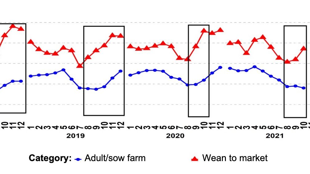 Figure 1. Percentage of PCR-positive PRRSV submissions for the age categories adult/sow farm and wean-to-market over time. The black boxes demonstrate the more accentuated and/or earlier spikes in grow-finish data compared to that of sow farms. Source:&nbsp;ISU-VDL: Iowa State University Veterinary and Diagnostic Laboratory; UMN-VDL: University of Minnesota Veterinary and Diagnostic Laboratory; SDSU-ADRDL; South Dakota State University Animal Disease Research and Diagnostic Laboratory; KSU-VDL: Kansas State University Veterinary and Diagnostic Laboratory; OH-ADDL: Ohio Animal Disease and Diagnostic Laboratory.

