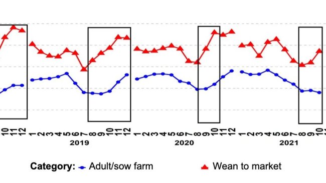 Figure 1. Percentage of PCR-positive PRRSV submissions for the age categories adult/sow farm and wean-to-market over time. The black boxes demonstrate the more accentuated and/or earlier spikes in grow-finish data compared to that of sow farms. Source: ISU-VDL: Iowa State University Veterinary and Diagnostic Laboratory; UMN-VDL: University of Minnesota Veterinary and Diagnostic Laboratory; SDSU-ADRDL; South Dakota State University Animal Disease Research and Diagnostic Laboratory; KSU-VDL: Kansas State University Veterinary and Diagnostic Laboratory; OH-ADDL: Ohio Animal Disease and Diagnostic Laboratory.