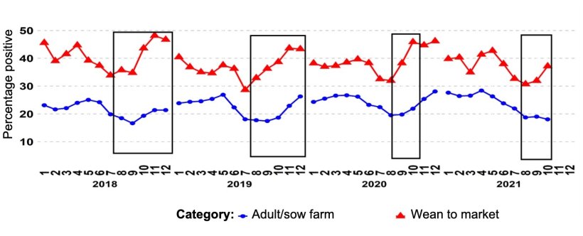 Figure 1. Percentage of PCR-positive PRRSV submissions for the age categories adult/sow farm and wean-to-market over time. The black boxes demonstrate the more accentuated and/or earlier spikes in grow-finish data compared to that of sow farms. Source:&nbsp;ISU-VDL: Iowa State University Veterinary and Diagnostic Laboratory; UMN-VDL: University of Minnesota Veterinary and Diagnostic Laboratory; SDSU-ADRDL; South Dakota State University Animal Disease Research and Diagnostic Laboratory; KSU-VDL: Kansas State University Veterinary and Diagnostic Laboratory; OH-ADDL: Ohio Animal Disease and Diagnostic Laboratory.
