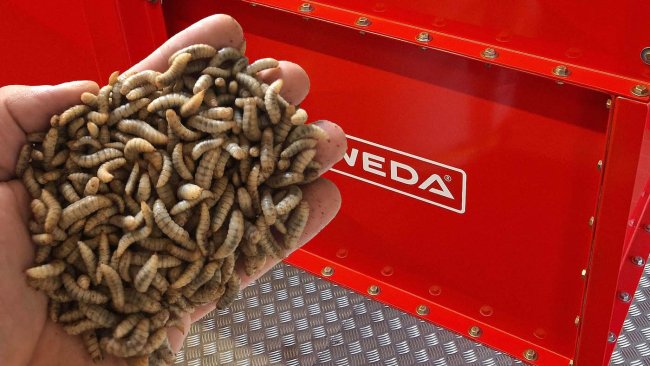 WEDA Dammann & Westerkamp GmbH supplies the complete insect feeding system for the Polish feed producer HiProMine.