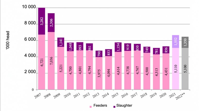 Canadian exports of non-breeding hogs to the United States. **Forecast. Source: USDA via Trade Data Monitor, LLC/FAS/Ottawa.
