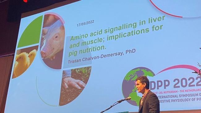 Tristan Chalvon Demersay, during DPP symposium organized by METEX