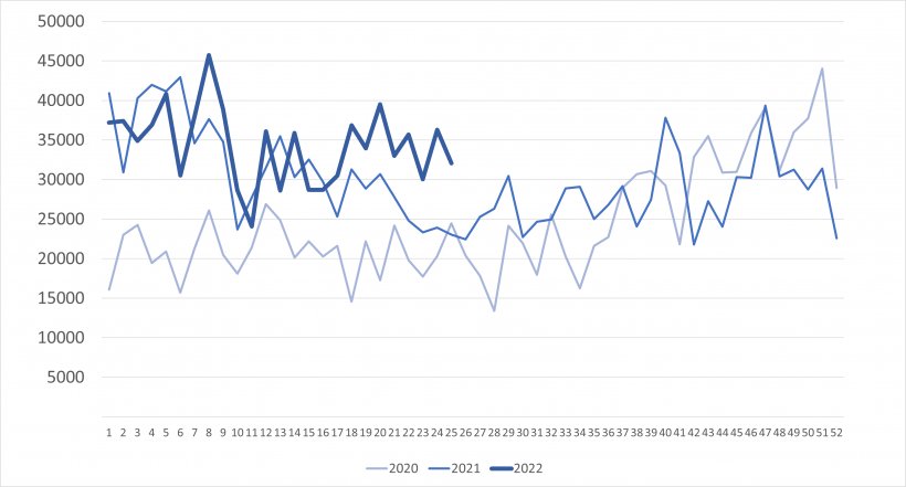 Weekly imports of piglets&nbsp;from the Netherlands (head). Source: 333 based on RVO data.
