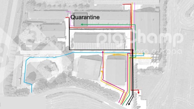 Figure 1. Movement routes, at the beginning.