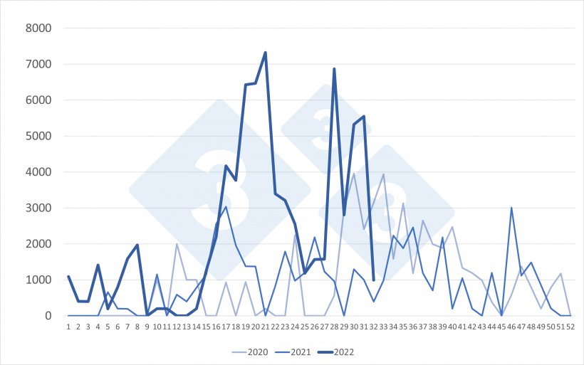 Weekly imports of Dutch hogs&nbsp;(number of head). Source: 333 based on RVO data.
