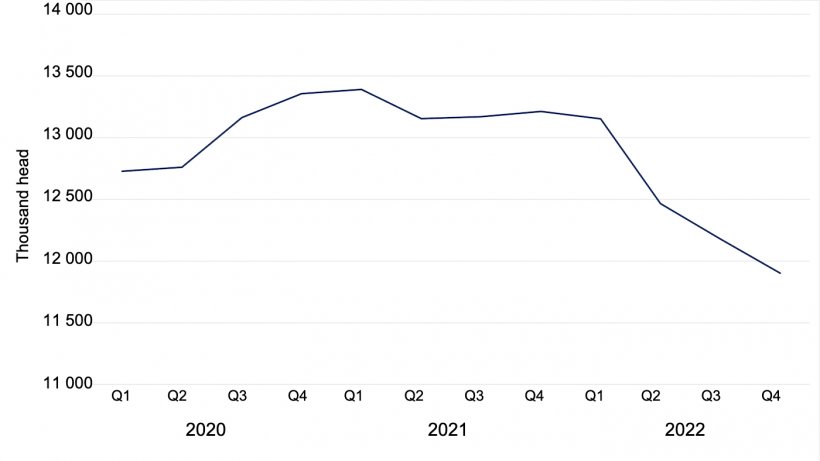 Total pig census in Denmark in thousands of head. Data from Statistics Denmark.
