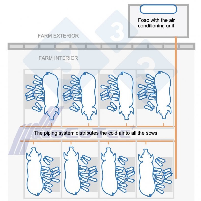 How the Freshnose system works
