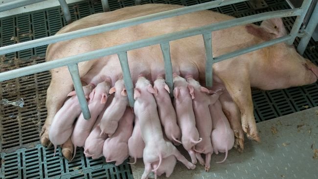 Reducing stress and anxiety adds benefits at all life stages.