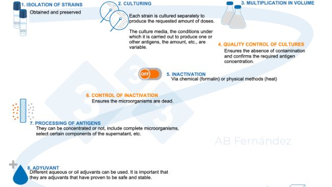 Figure&nbsp;1. Schematic diagram of&nbsp;the manufacture of an autogenous vaccine.
