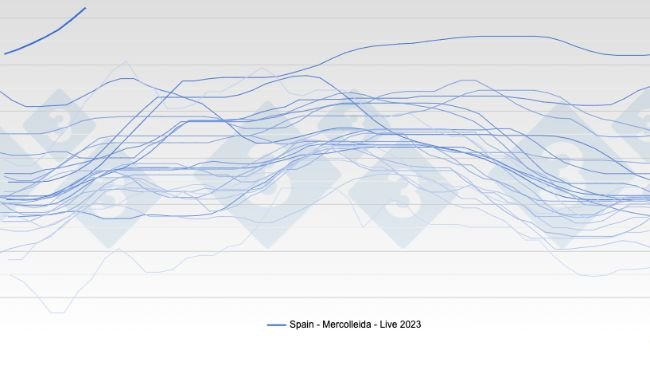 Pig price - Spain - Mercolleida - Live