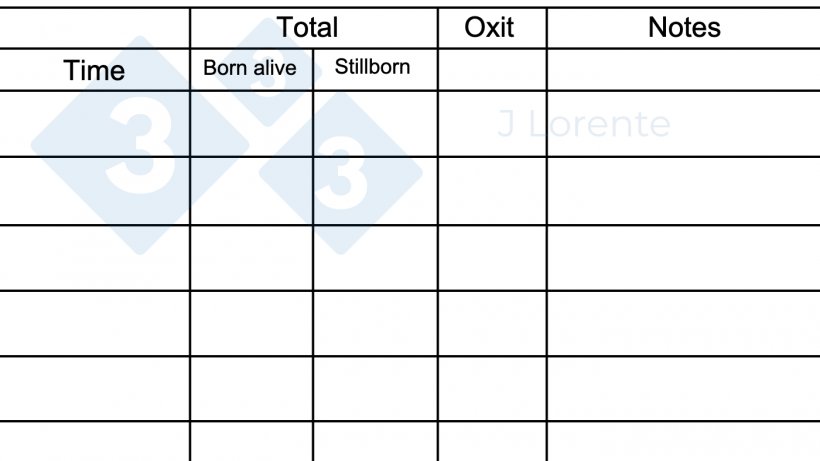 Figure&nbsp;3. Farrowing sheet.
