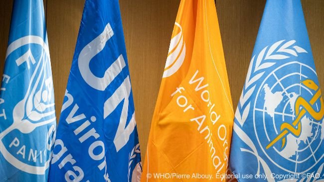 © WHO/Pierre Albouy. Editorial use only. Copyright ©FAO.