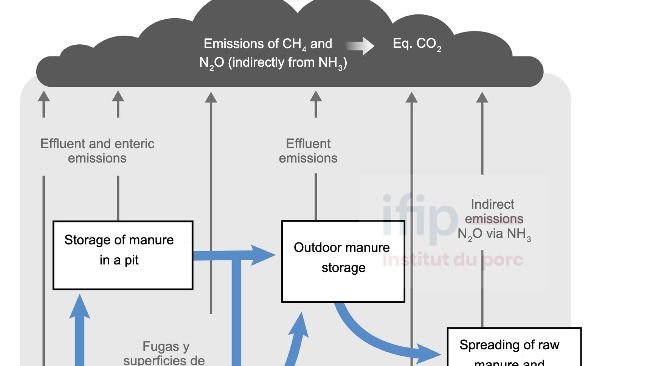 Diagram of the calculation parameters of the calculator (in gray). Source: IFIP.