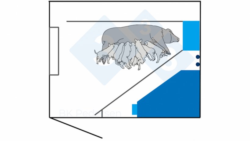 Figure 2. German requirements previously included a pen space of 6.5 m2 or more demanding that the sow must be able to lie laterally without touching the pen wall with stretched legs. Therefore, the German pens of the first generation typically are 3.00 m long and 2.30 m wide. The pen includes a farrowing crate placed 40 cm from the pen wall to allow the sow to lie recumbent without touching it.&nbsp;
