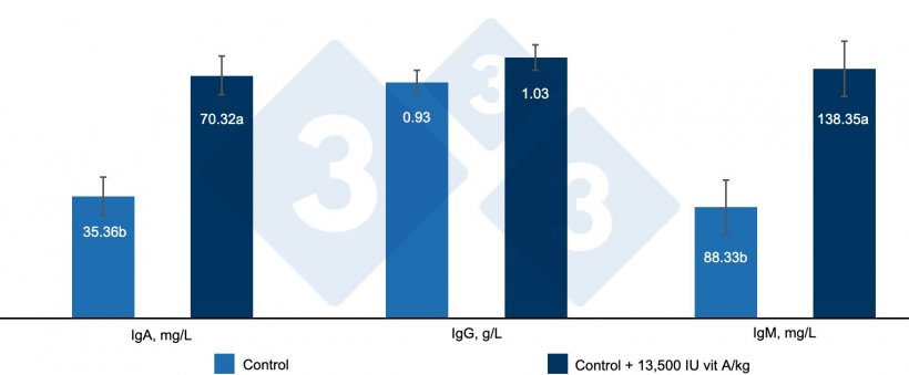 Figure 4. Effect of including 13500 IU vitamin A / kg feed on serum immunoglobulins in weaned piglets. a, b: Different letters indicate statistically significant differences (P &lt; 0.05). Source: Hu et al (2020).
