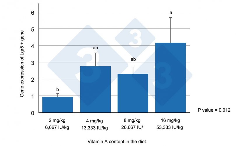 Figure 1. Expression of the Lgr5+ gene in the&nbsp;jejunum of weaned piglets fed with different levels of vitamin A. Different letters indicate statistically significant differences (p&lt;0.05). Source: Wang et al. (2020)
