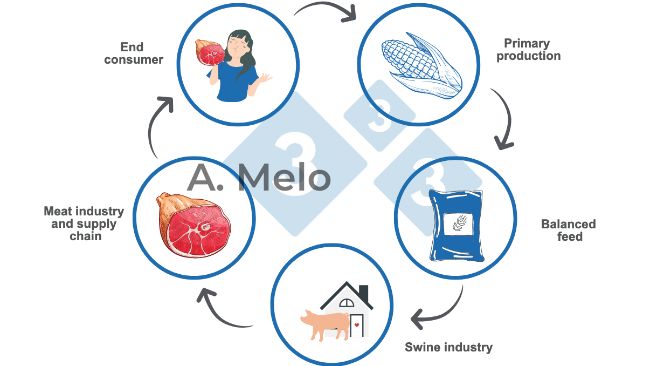 Graph 1. The food chain from primary production&nbsp;to the end consumer's table.
