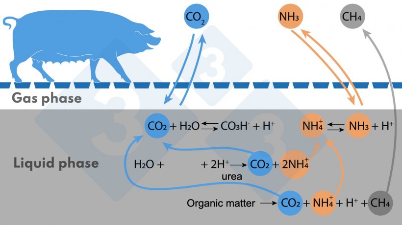 Figure 1. Simplified diagram of reactions affecting NH3 and CH4 emissions.
