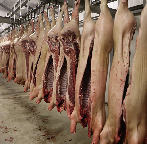 Red meat exports from Russia this 12 months would possibly develop to 200-220 thousand lots – Swine information