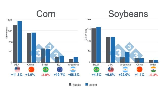 Graph 1. Projections for the main world corn and soybean producers - 2023/24 versus 2022/23 season. Prepared by 333 Latin America with data from FAS - USDA.