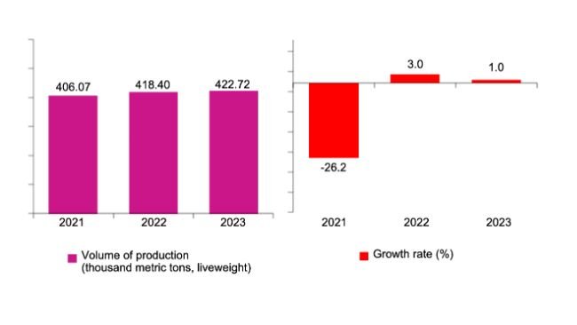 Figure 1. Volume and annual growth rate of hog production in the Philippines: April to June 2021 – 2023(preliminary). Sources: Philippine Statistics Authority, Backyard Livestock and Poultry
Survey (BLPS), and Commercial Livestock and Poultry Survey (CLPS)