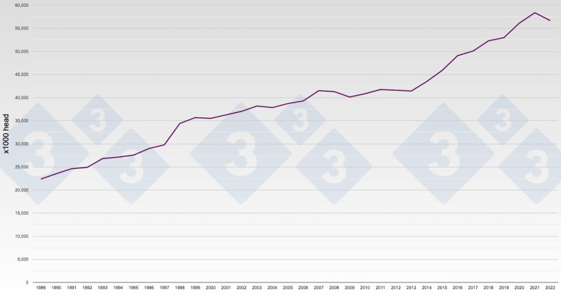 Graph 1. Evolution of pig production in Spain. Number of pigs slaughtered per year.
