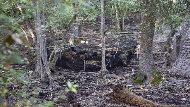 Source: ISPRA (Antonio Petrone)