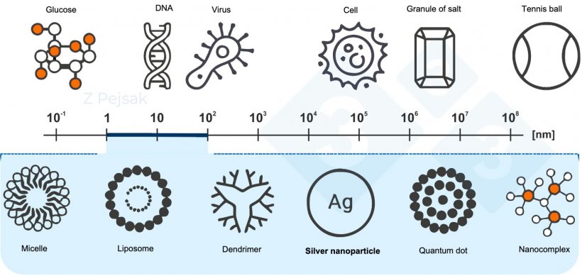 Figure 2. Nanometric scale.
