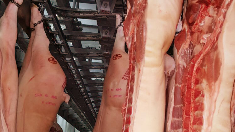 China to buy and retailer extra red meat – Swine information