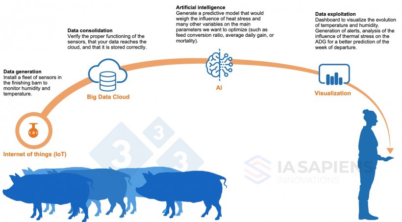 Figure&nbsp;1.&nbsp;AI implementation in finishing barns.
