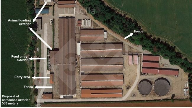 Figure 1. Aerial view of sow farm.