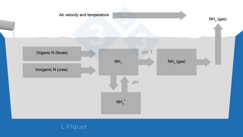 Figure 2.&nbsp;Ammonia (NH3) formation cycle during slurry storage.
