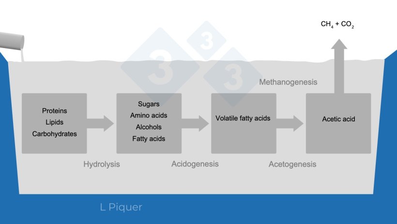 Figure 1.&nbsp;Methane (CH4) formation cycle during slurry storage.
